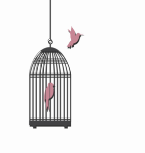 Caged Bird PNG Transparent Picture PNG Clip art