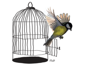 Caged Bird Transparent Background PNG Clip art