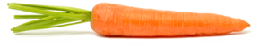 Carrot Vegetable PNG PNG Clip art