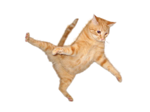 Cat Jump PNG PNG Clip art