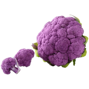 Cauliflower PNG Clipart Background Clip art