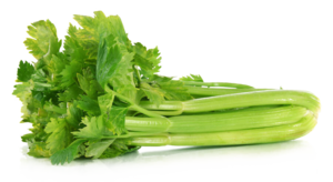 Celery PNG File Clip art