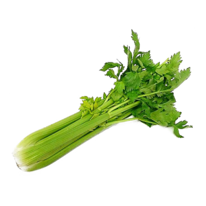 Celery PNG Image PNG Clip art