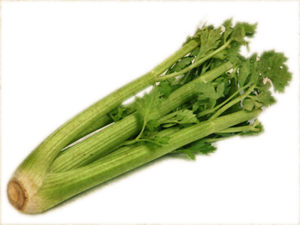 Celery Transparent Background PNG Clip art