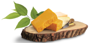 Cheese PNG Transparent Photo PNG Clip art