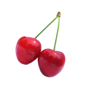 Cherry Fruit PNG Clip art