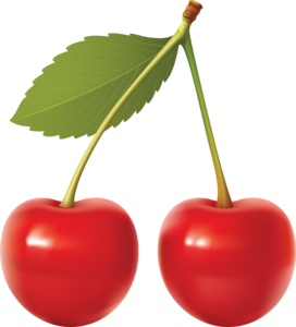 Cherry Vector PNG File PNG Clip art