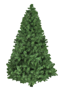Christmas Nature PNG HD PNG images