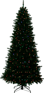 Christmas Outside Transparent Background PNG Clip art
