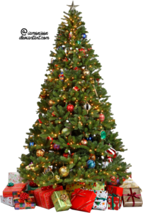 Christmas Tree Transparent Background PNG Clip art