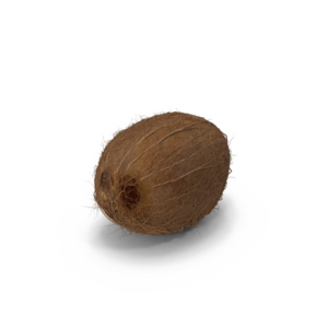 Coconut PNG Image HD PNG Clip art