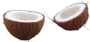 Coconut PNG Image PNG Clip art