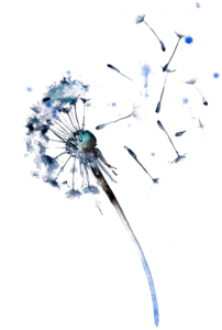 Colored Dandelion PNG Free Download PNG Clip art