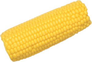 Corn Cob PNG Clipart PNG Clip art