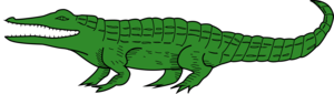 Crocodile PNG Transparent Image PNG Clip art