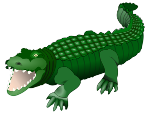 Crocodile Transparent Images PNG PNG Clip art