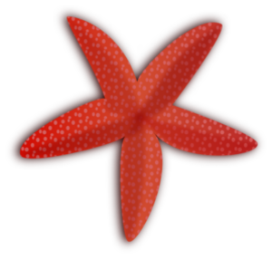 Cute Starfish PNG HD PNG Clip art