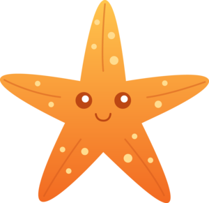 Cute Starfish PNG Transparent Picture PNG Clip art