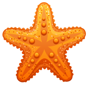 Cute Starfish Transparent PNG PNG Clip art