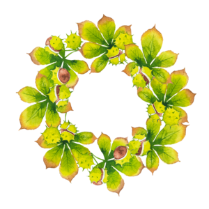 Decorative Leaf PNG Transparent PNG Clip art