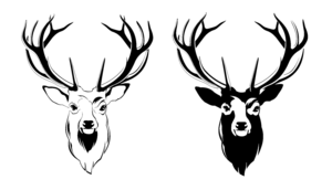 Deer Head PNG Picture PNG Clip art