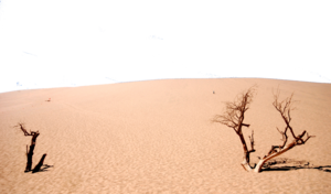 Desert PNG Background PNG Clip art