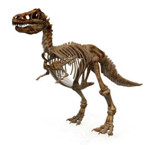 Dinosaur PNG Picture PNG Clip art