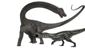 Diplodocus Background PNG PNG Clip art