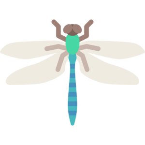 Dragonfly PNG File PNG Clip art
