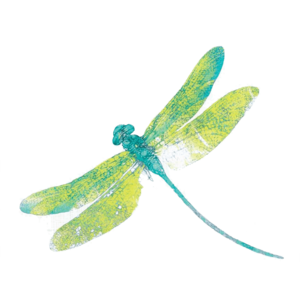 Dragonfly PNG Free Download PNG Clip art