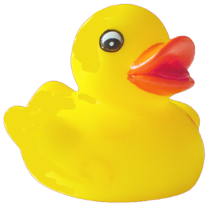 Duck PNG Pic PNG Clip art