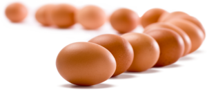 Eggs PNG Pic PNG Clip art
