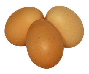 Eggs PNG Transparent Picture PNG images