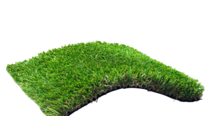 Fake Grass PNG Transparent Picture PNG Clip art