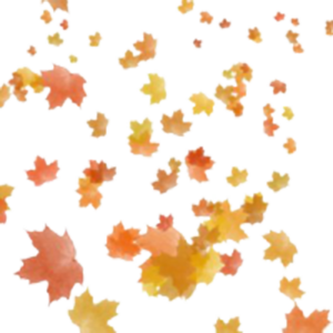 Falling Leaves PNG Transparent Image PNG Clip art