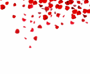 Falling Rose Petals PNG Clipart PNG Clip art