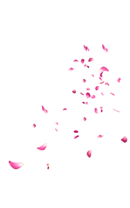 Falling Rose Petals PNG Picture PNG Clip art