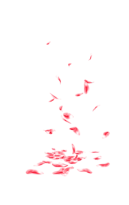 Falling Rose Petals PNG Transparent PNG Clip art
