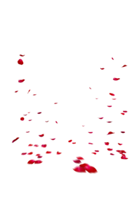 Falling Rose Petals Transparent Images PNG PNG Clip art