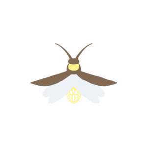 Firefly Transparent Background PNG image