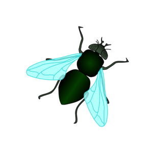 Fly Background PNG PNG Clip art