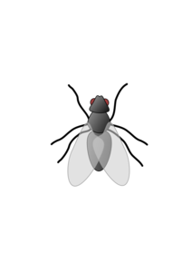Fly PNG Transparent HD Photo PNG Clip art