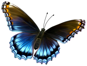 Flying Butterflies PNG Clip art