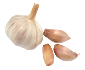 Garlic PNG Picture PNG Clip art