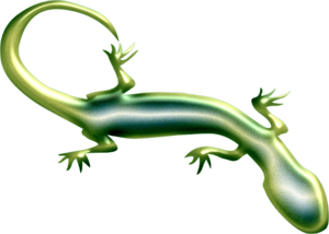 Geckos PNG Free Download PNG Clip art