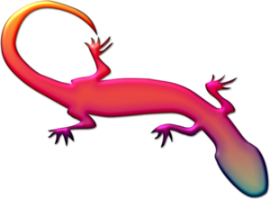 Geckos PNG HD PNG Clip art