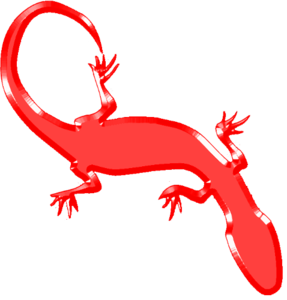Geckos PNG Photo PNG Clip art