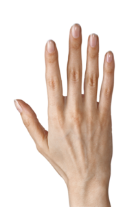 Girl Fingers PNG PNG images