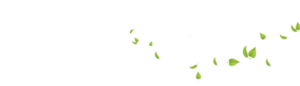 Green Leaves Transparent Background PNG Clip art