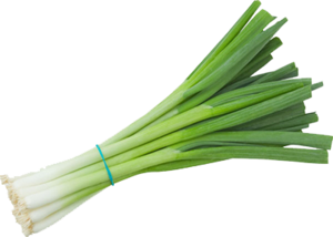 Green Onion PNG Clipart PNG Clip art